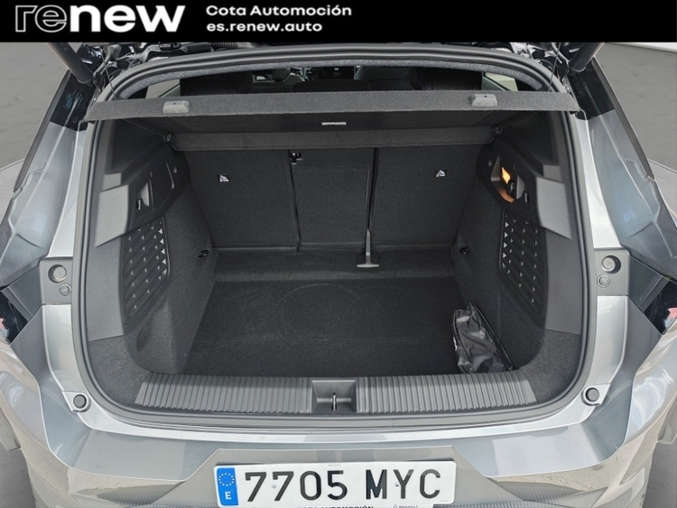 Renault Scenic 220 Long Range Esprit Alpine foto 18