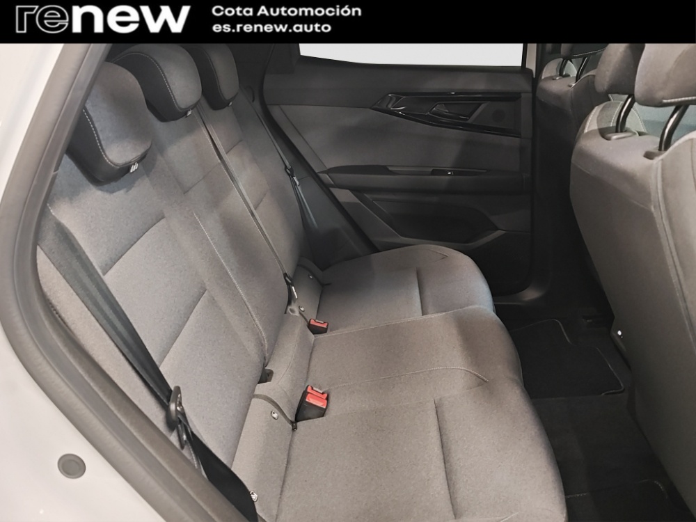 Renault Austral Evolution miniatura 20